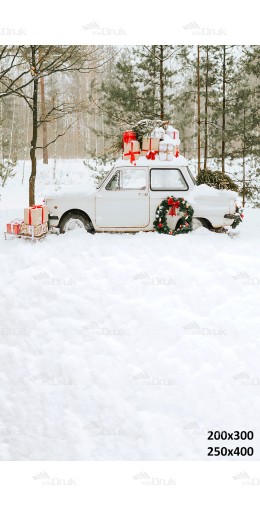 Tło fotograficzne Ch57